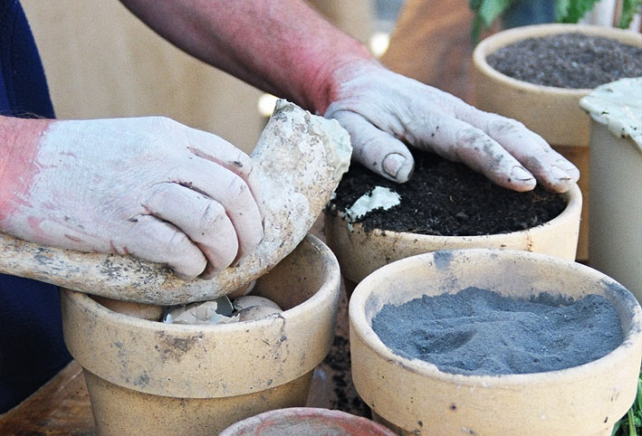 Biodynamic preperations