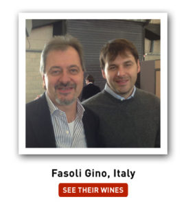 Fasoli Gino