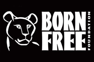 Born Free Competition