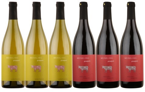 wild wine