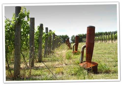 Burners-at-Albury-Vineyards