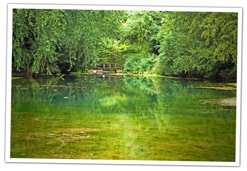 The-Silent-Pool-at-Albury-Vineyards