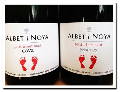 Cava-and-Penedes-from-Albet-i-Noya