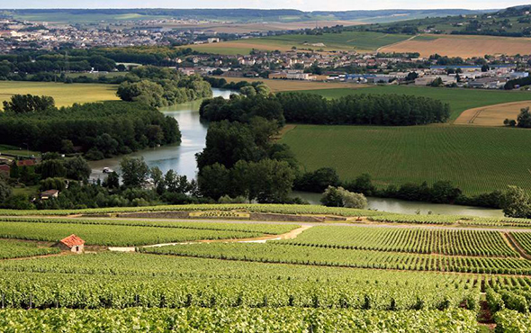 Champagne french wine region