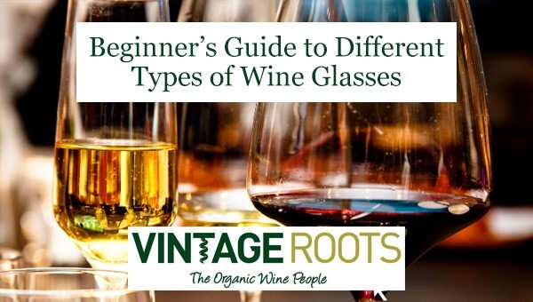 A Guide to Different Types of Champagne Glasses