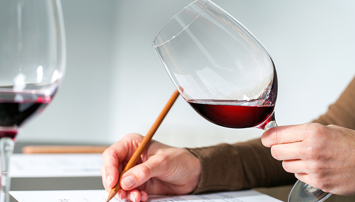 how to taste wine like a pro