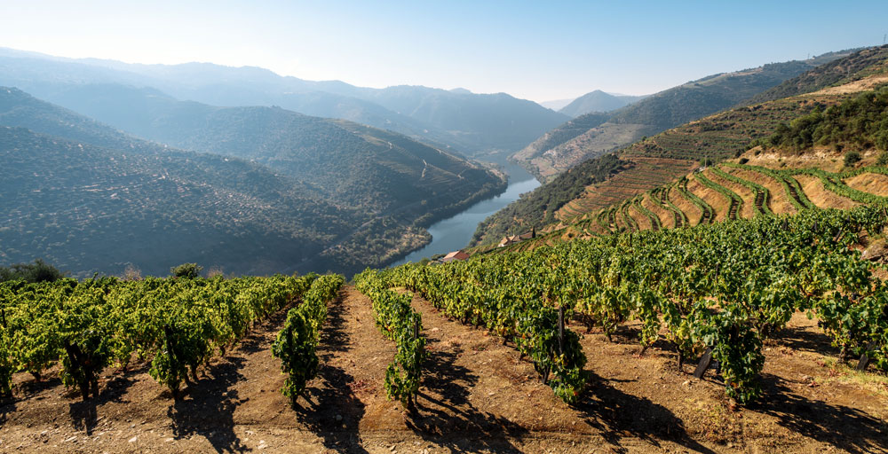 Duero River Valley