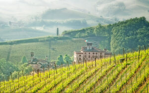 best wine region in Italy