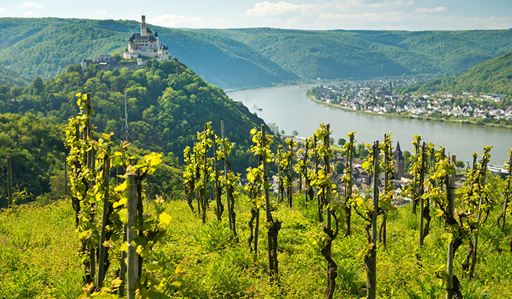 German Riesling wine region Mittelrhein