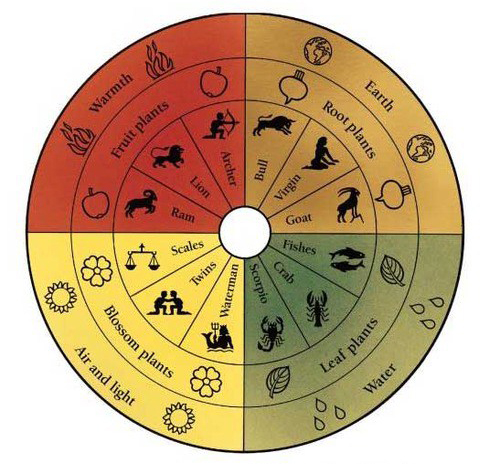 Organic vs Biodynamic Wines - Vintage Roots: Organic Wine | Biodynamic