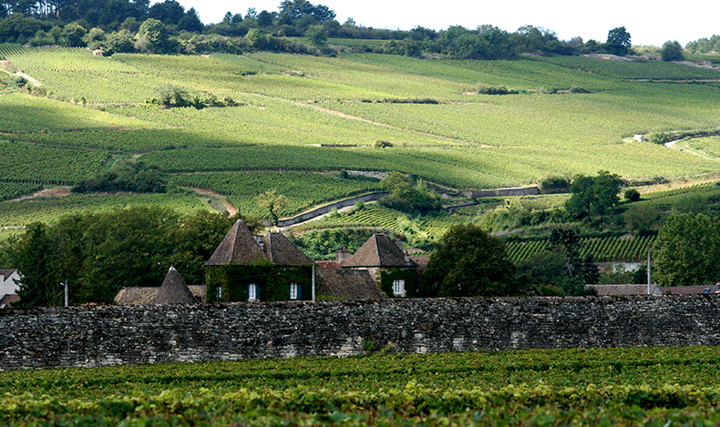 Côte de Beaune