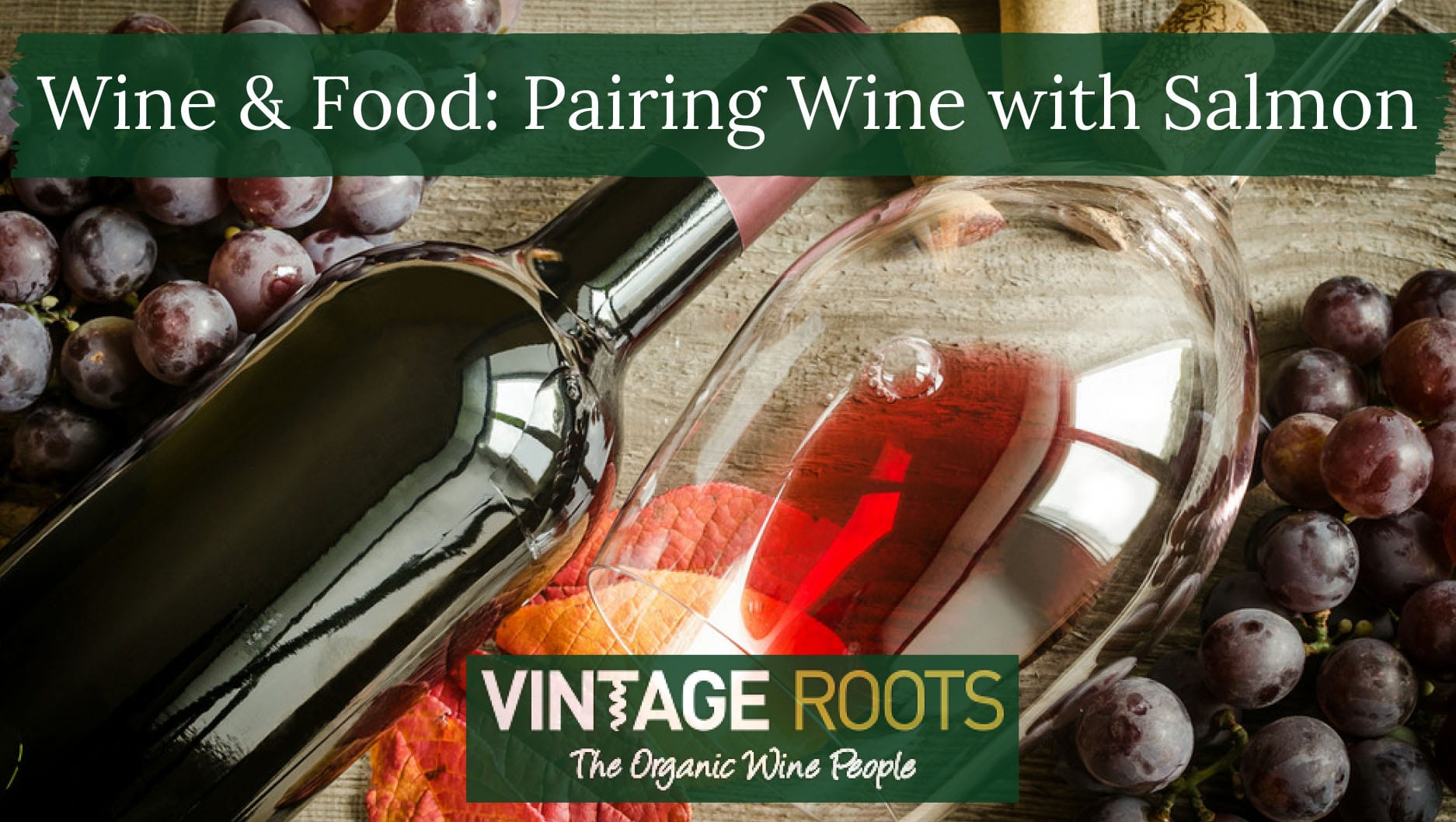 Wine & Food: Pairing Wine with Salmon - Vintage Roots: Organic Wine
