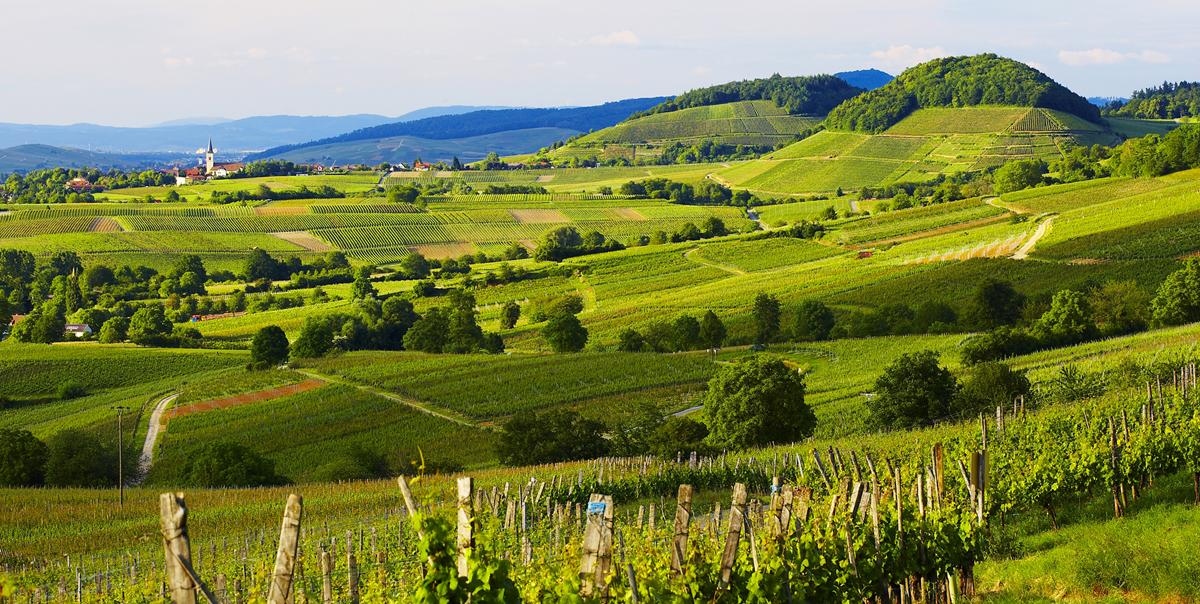 Baden wine region