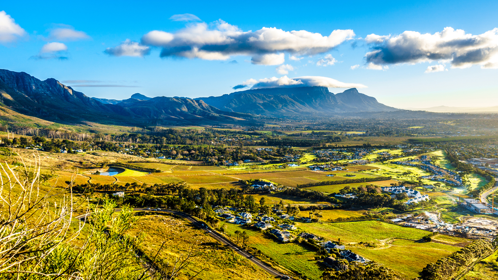 constantia estate