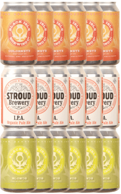 Mixed craft beer case