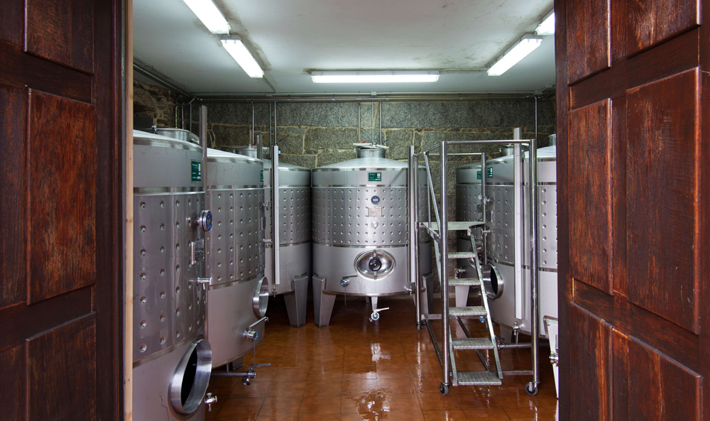 Organic wine in vats