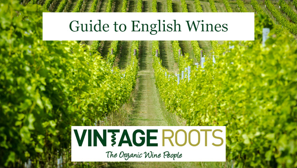 Guide to English Wines