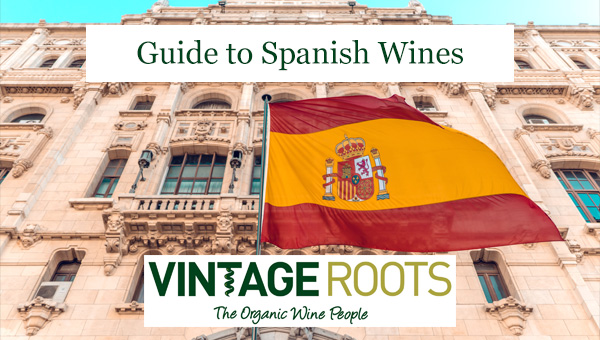 Guide to Spanish wines