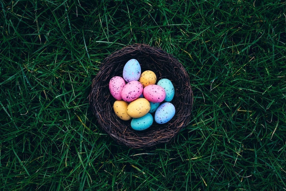 Chocolate easter eggs