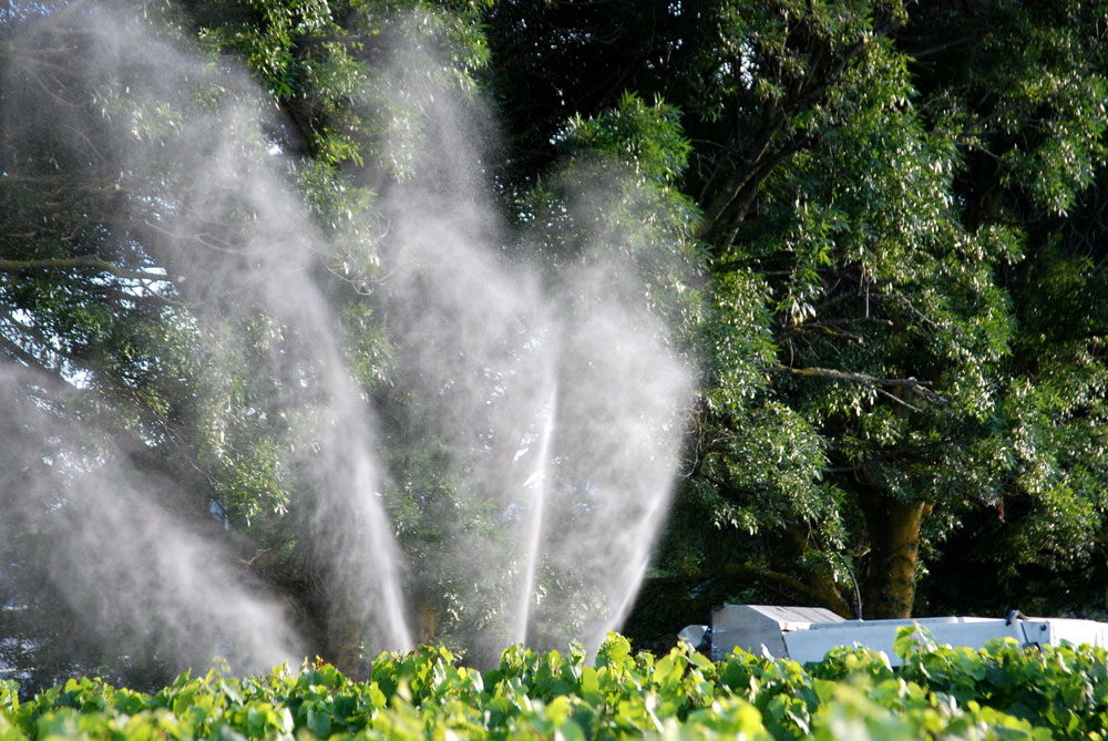 Biodynamic spraying in vineyard