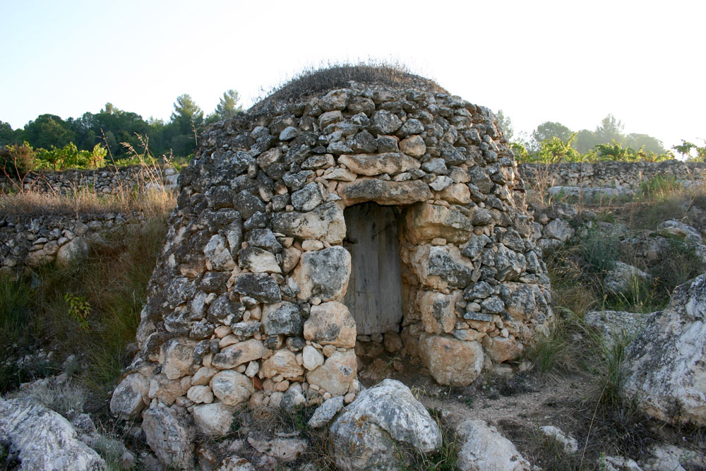 Stone hut in vineyard