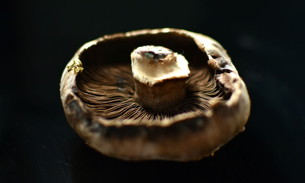 Mushroom Pancakes