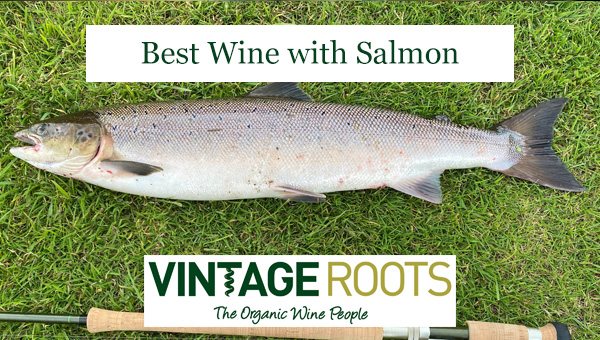 Best wine to drink with Salmon