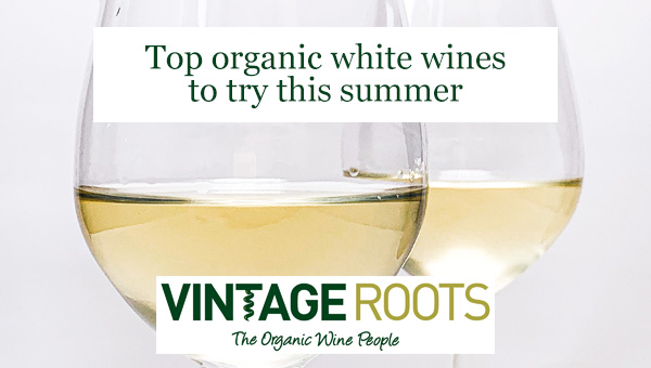 Top organic white wines to try this summer