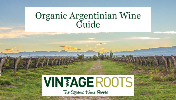 Organic Argentinian Wine Guide