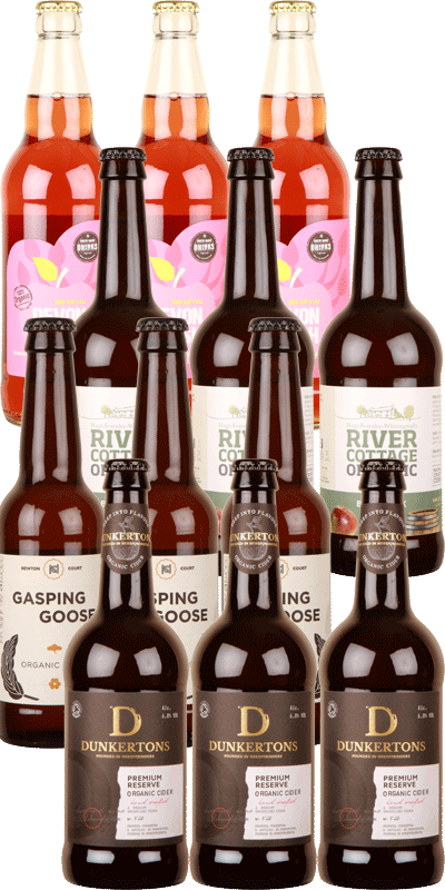 Cider