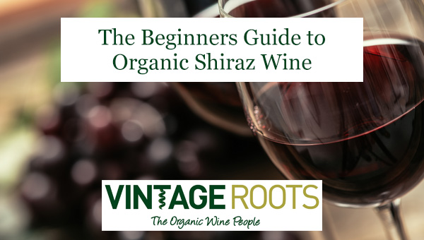 organic shiraz wine