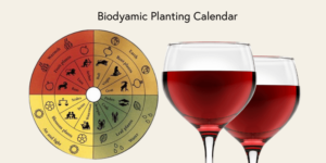 biodynamic wine planting calendar