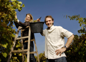 why drink organic wine - it supports organic winemakers 