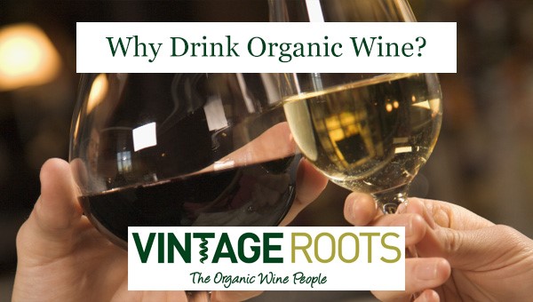 why drink organic wine