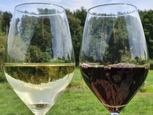 low suphur and low sulphite wine