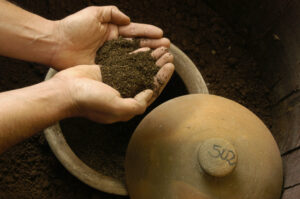sulphites in winemaking, a photo of SO2