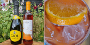 what is a spritzer - you can also make organic aperol spritz