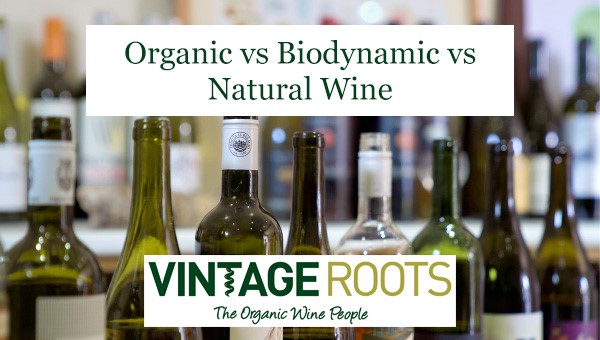 organic vs biodynamic vs natural wine