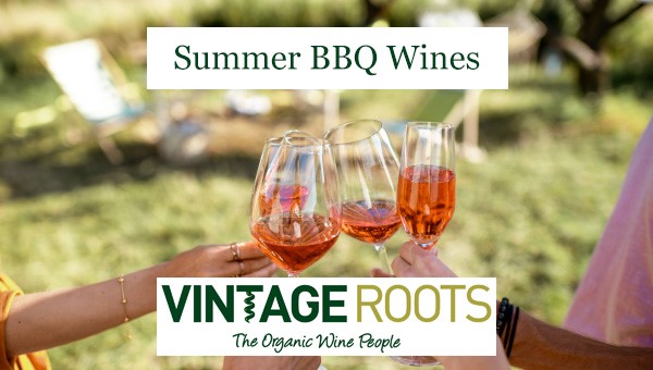 summer bbq wines what wines to pair with a bbq