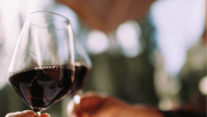 organic red wines