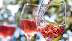 organic wines for summer