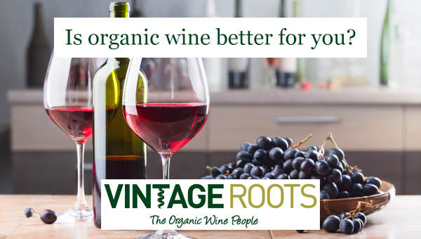 Is organic wine better for you? Is organic wine healthy?