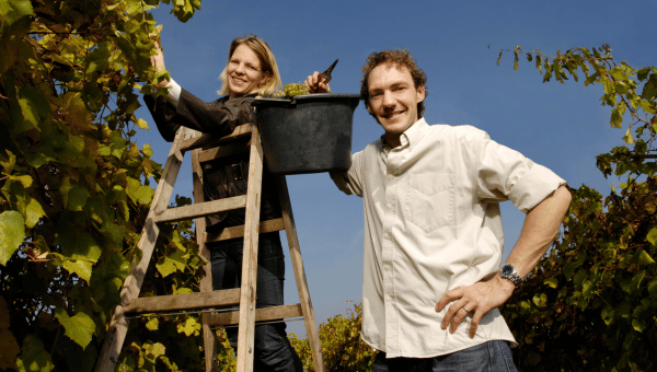 two people in an organic vineyard
