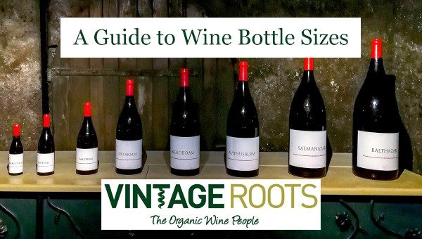 Bottle of discount wine ml