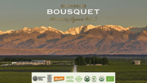 best malbec wine - a photo of Domaine Bousquet in Argentina