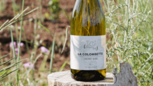 what are piwi wines