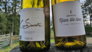 how to remove sulphites in wine - two bottles of no sulphur wine 