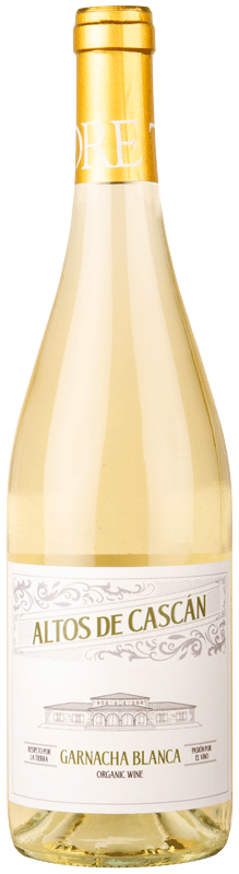 Bodegas